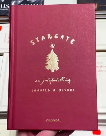 Stargate: A Christmas Story, the novel by Ingvild H. Rishøi